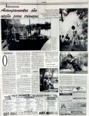 Jornal Shopping News