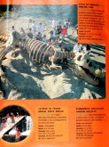 Revista Kid